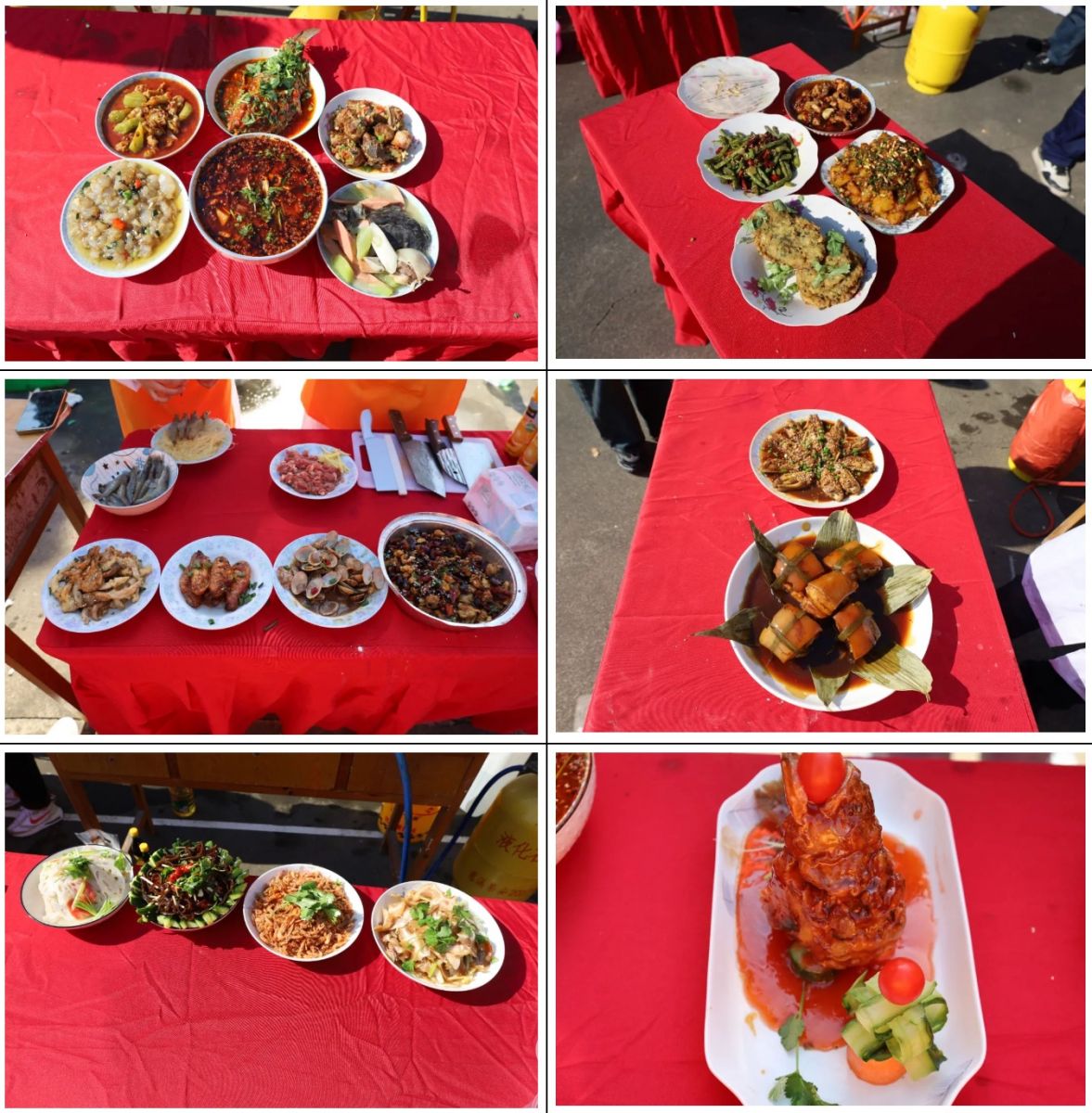 ÌÚ²©tengbo9885¹ÙÍø-¹ÙÍøÈë¿Ú